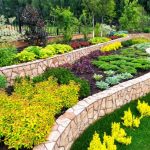 Why Investing in Landscaping Adds Value to Your Property